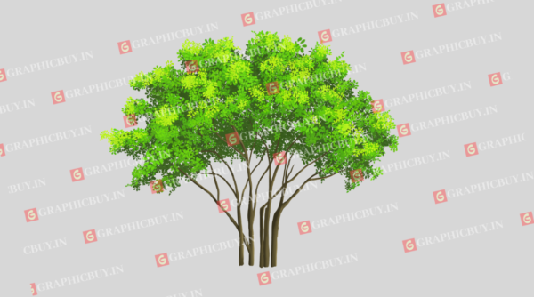 Tree Png 02